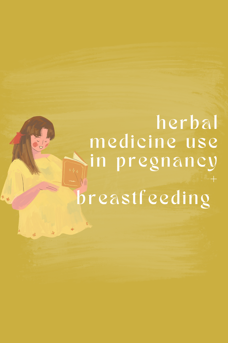 Herbal Medicine Use In Pregnancy